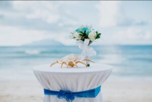 Williston Highlands Wedding Officiant beach wedding